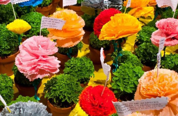 Basilic lisbonne, pourquoi offrir du basilic en juin à Lisbonne et au Portugal